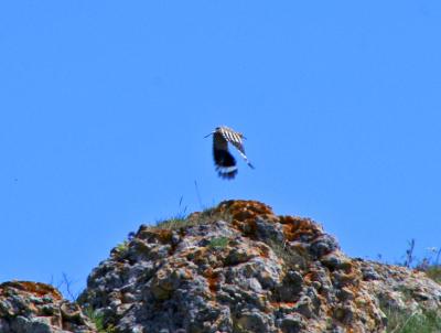 Прикрепленное изображение: zb07.jpg